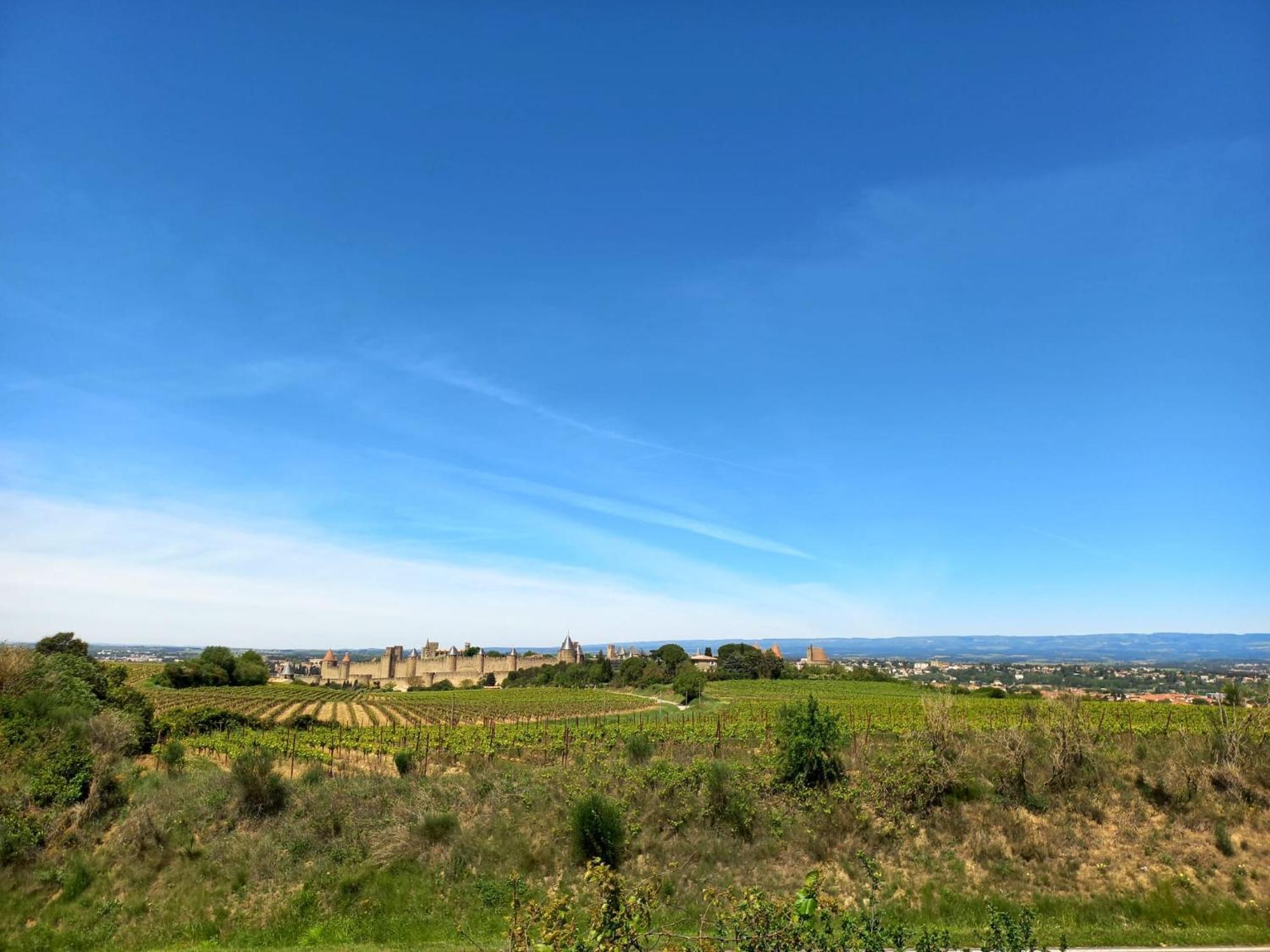 Gite With Private Jacuzzi, Shiatsu & Healthy Food Ladern-sur-Lauquet Extérieur photo